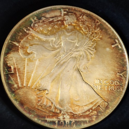 Silber dollar usa american - usa,