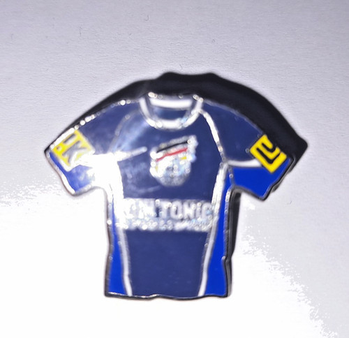 Anstecker handball em98 - handball,