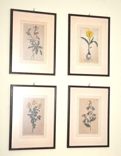 Pflanzen blumen farbige - pflanzen, 4