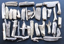 Treibholz Schwemmholz