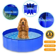 Hundepool Hunde Swimmingpool