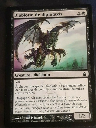 Diablotin diplotaxis - 4,