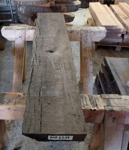 Mooreiche moorholz 2000 - moorholz, jh