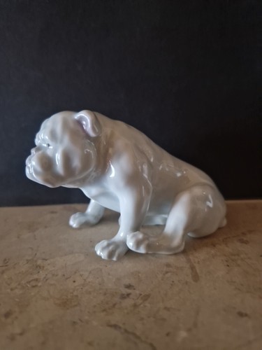 Englische bulldogge hund - englische,