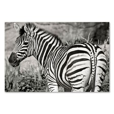 Postereck 1183 Poster Leinwand