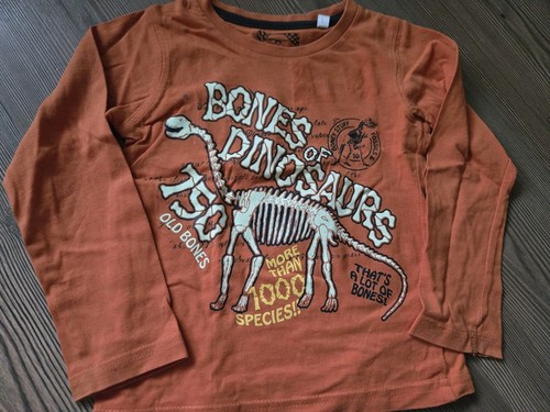 Pulli dinoskelett leuchtend - dinoskelett,