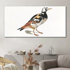 Zeichnung Tier Vogel Kunst
