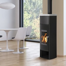 Kaminofen wasserführend