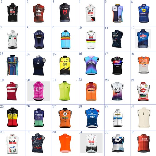 2026 radweste cycling jersey - radweste,