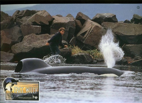 Free willy aushangfoto - aushangfoto, a4