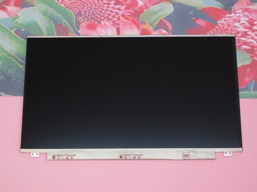 Original display au - original, 17,3"
