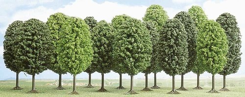 Laubparkbäume 12er pack - (12er,