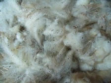 2 kg Schafwolle Rohwolle