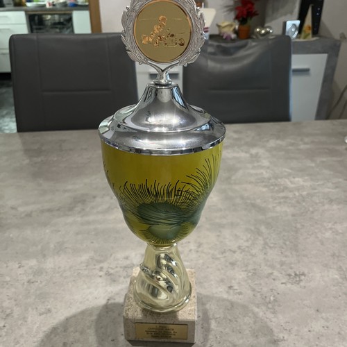 Großer pokal kart - pokal, rennen
