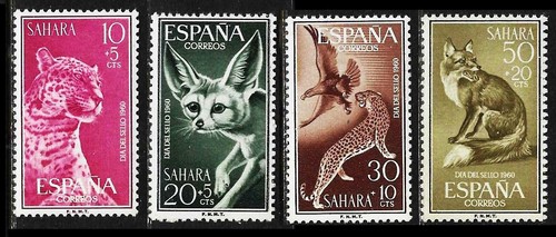 Span sahara 1960 - sahara, raubtiere