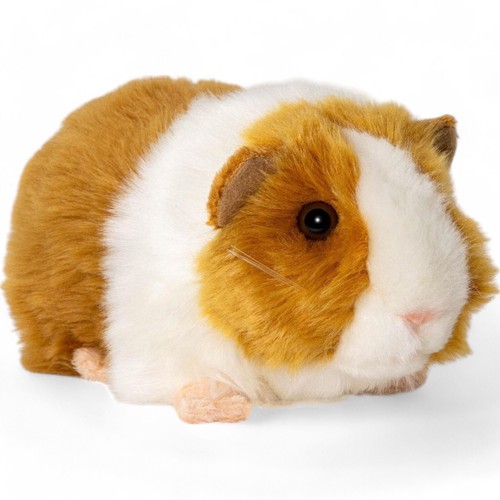 Carl dick meerschweinchen - dick,