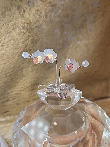 Swarovski figur 869948 - ,