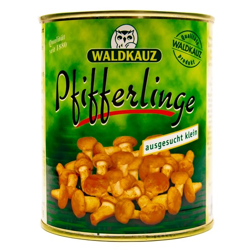 Waldkauz pfifferlinge klein - waldkauz,