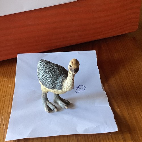 Schleich straußenjunges 14398 - schleich,