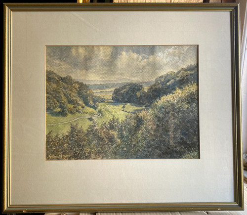 Aquarell wiesen sommer ferdy - sommer,
