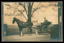 Sulky Kutsche Pferd Fuhrwerk -