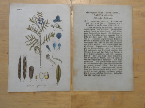 Orig kupferstich - 1800),