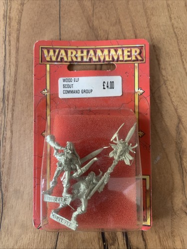 Warhammer wood elf scout - warhammer,