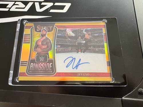 Panini wwe select - panini, jey