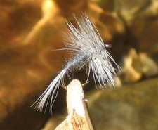 Gilchrist Fliegen. 3 x