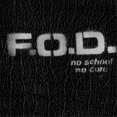 Flag democracy school no - no,