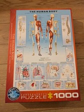 Puzzle Der menschliche Körper, 1000 Teile, Wissen, Medizin, Human, Eurographics