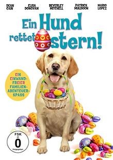 Ein hund rettet - ein,
