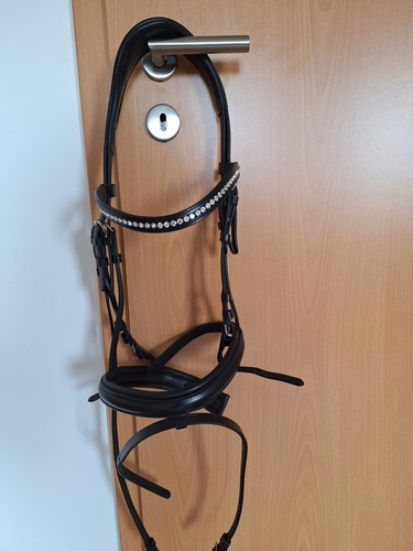 Warmblut trense schwarz - warmblut,