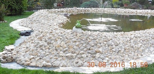 Teichbau garten teich - teichbau,