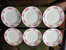 6 Speiseteller Seltmann Weiden