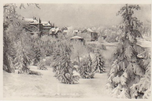 Oberhof panorama winter - im,