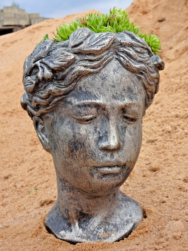 Frauenkopf zum bepflanzen - frauenkopf,