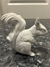 Eichhörnchen von Kaiser