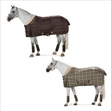 Eskadron HERITAGE Stalldecke