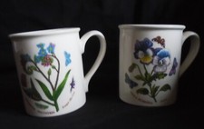 Portmeirion Botanic Garden 2 x