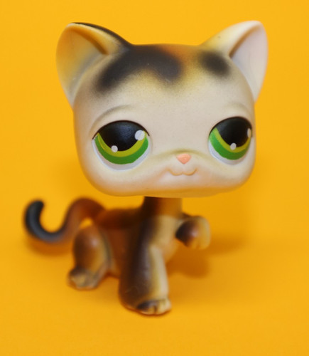 Hasbro littlest pet shop katze - hasbro,