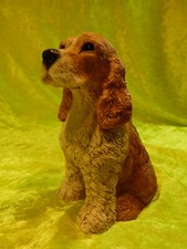 Spaniel Castagna 1988, Italy