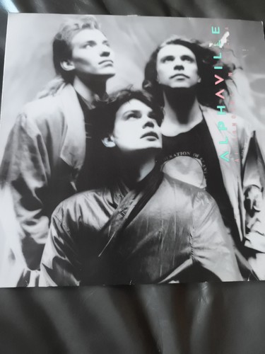 Alphaville afternoons - alphaville-afternoons, in