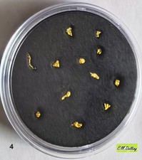 12 natürliche Goldnuggets