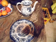 Kaffeekanne Kuchenteller  Royal Worcester Palissy 1790 Avon Scenes blau Teller