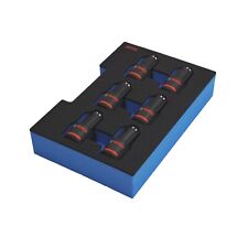 APTEX Schaumeinlage für 6x