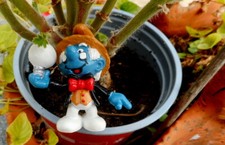 20504 Historischer Schlumpf