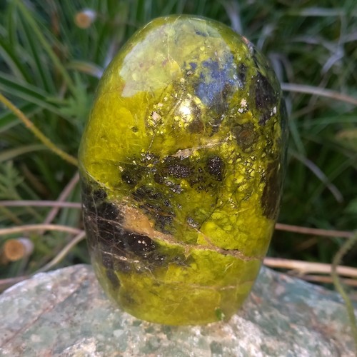 Top farbe chloropal - top,