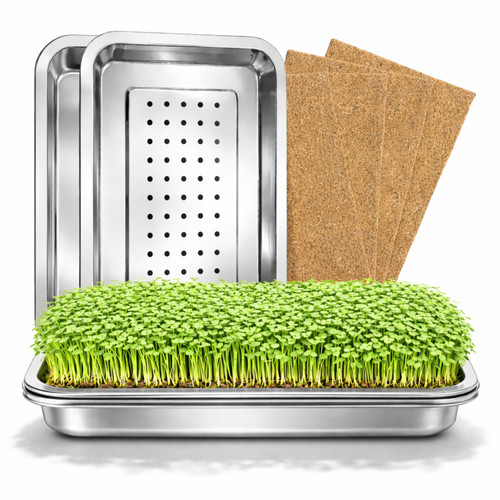 Friendly fox microgreens - friendly,