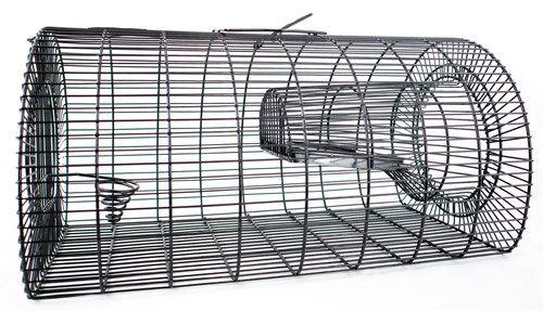 Ratten-Massenfänger